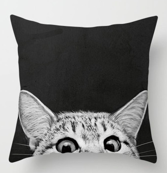 Black Pillow Gray Peek A Boo Cat Kitty Graphic