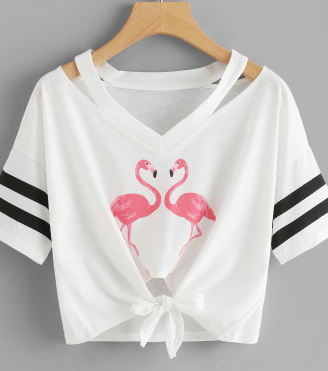 Flamingo Stripe V Neck Crop Tee Shirt Fashion Top